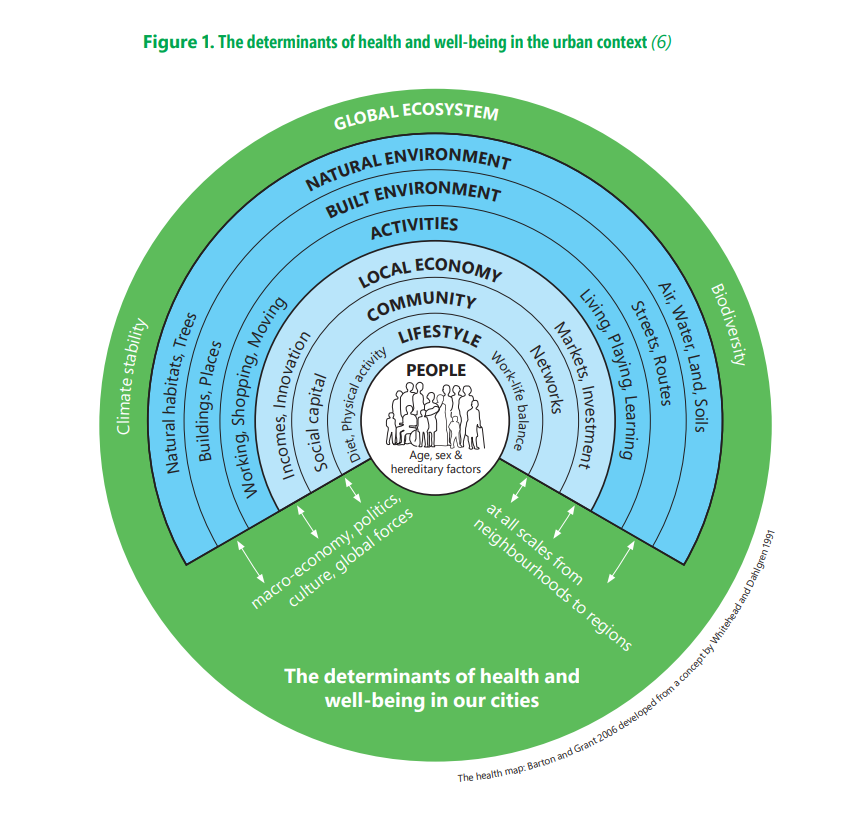 The image shows the determinants of health and well-being in the urban context. 